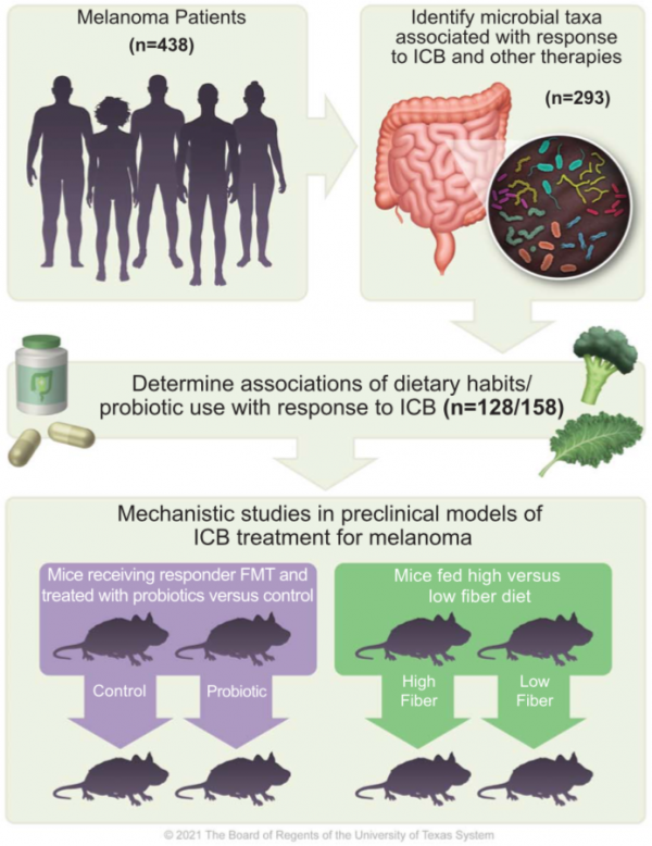 能夠提高治療效果，這類飲食腫瘤患者需重視