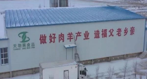 抓招商 促專案 謀發展丨吉林省秋林集團:打造肉羊全產業鏈 富裕一方百姓 抓招商 促專案 謀發展丨吉林省秋林集團:打造肉羊全產業鏈 富裕一方百姓