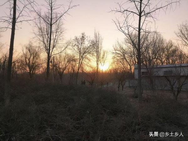 下元九運到了，老人說：“下元九紫星，老農往南行”，有啥預兆？