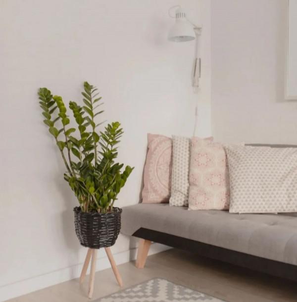 屋主花4.5萬僱12位整理師上門整理，卻依然“整理不到位”？