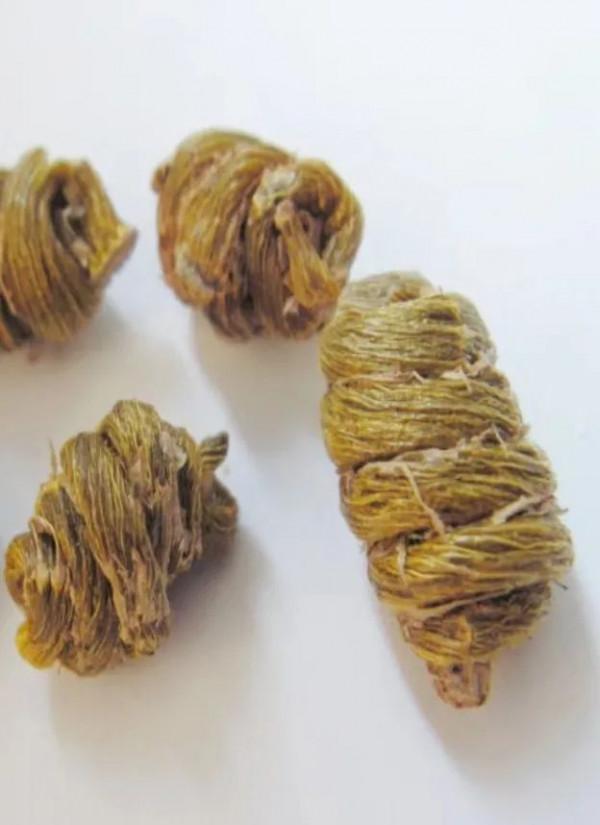 不止好吃那麼簡單!這三種養胃“鮮藥”你用對了嗎? 不止好吃那麼簡單!這三種養胃“鮮藥”你用對了嗎?