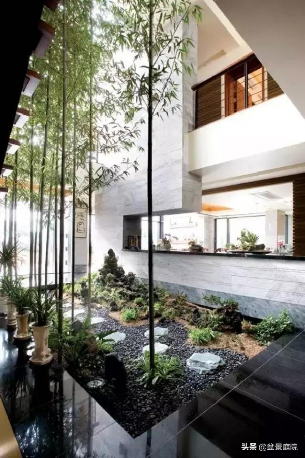 家有竹園，這才是極具風雅之事