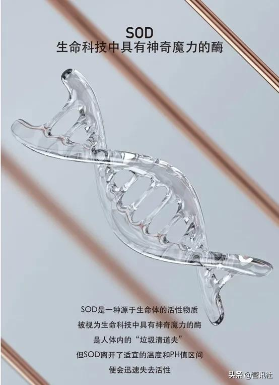 “亂價現象嚴重、視代理商為韭菜”，真珠美學的代理模式備受質疑