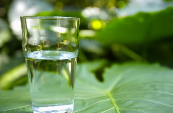 健康“養生表”，助胃健康