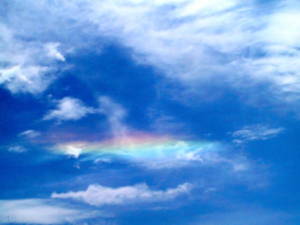 你說你嚐盡了生活的苦，找不到可以相信的人