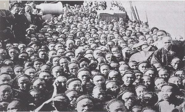 悲情豬花:那些被拐去美國的大清朝婦女 悲情豬花:那些被拐去美國的大清朝婦女