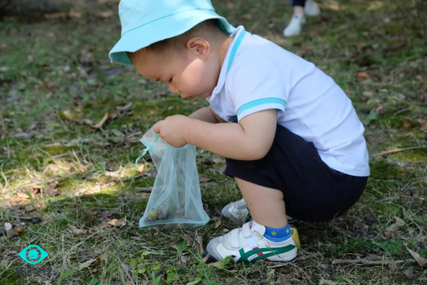 育見星球大自然課程「尋找泡泡樹」——小探究，大學問