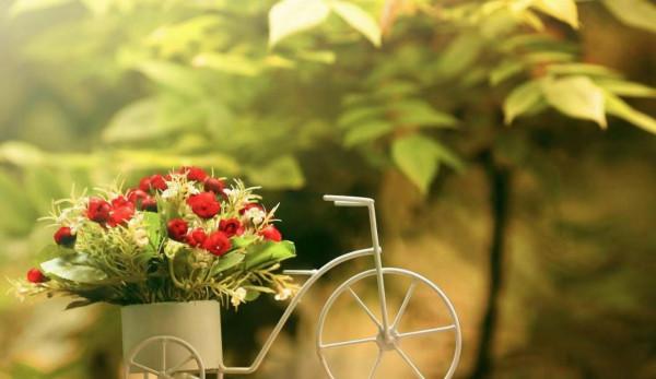 彆著急，順其自然，一切皆有定數