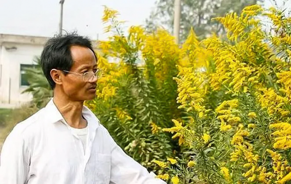 &OpenCurlyDoubleQuote;野人&rdquo;教授何家慶：生前被嫌棄，死後蓋國旗