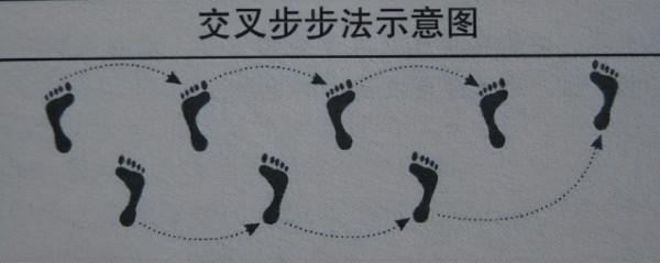 氣排球技術入門全解