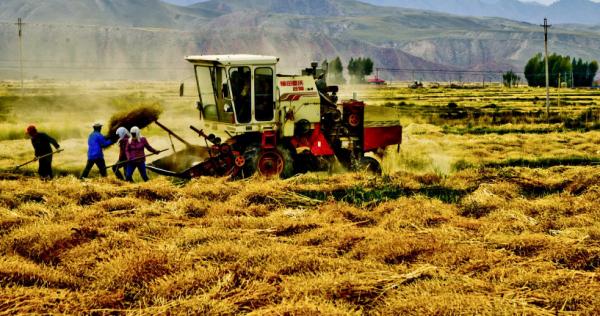 俗話說“有沾沒沾,就看8月13”啥意思?為何八月十三如此重要? 俗話說“有沾沒沾,就看8月13”啥意思?為何八月十三如此重要?