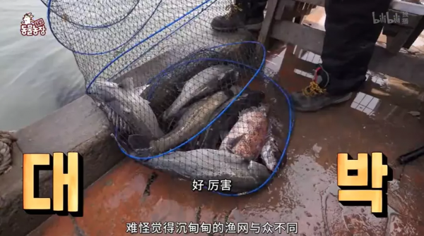 當貓遇到釣魚的阿姨,竟被利用,成了“招大魚”的工具貓 當貓遇到釣魚的阿姨,竟被利用,成了“招大魚”的工具貓