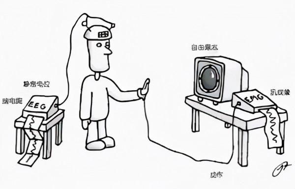 命運是被操控的嗎?三個實驗證明,你所做的也許並非自願 命運是被操控的嗎?三個實驗證明,你所做的也許並非自願