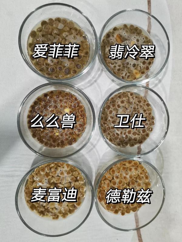 6款狗糧泡水測評｜好狗糧泡出來