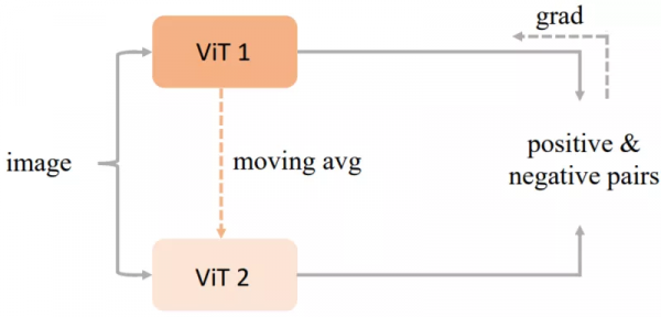 Transformer振興CNN骨幹網路，港大、騰訊視覺自監督表徵學習CARE