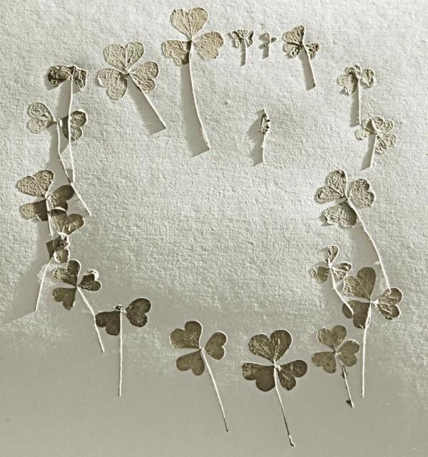 142個從新綠到化石的生命故事 142個從新綠到化石的生命故事