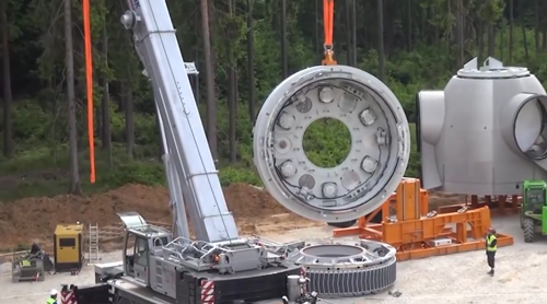 手掌大的飛蛾、比汽車高的鹿，這些東西比你想象的要大很多