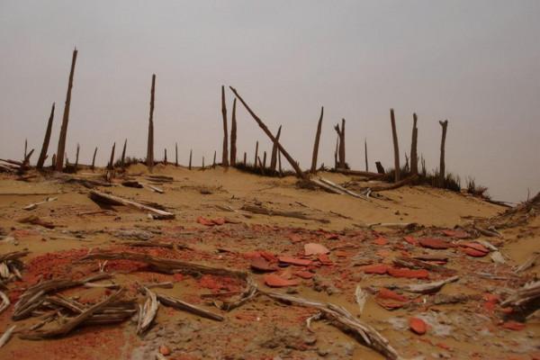 你想要來的新疆2022年是這樣的