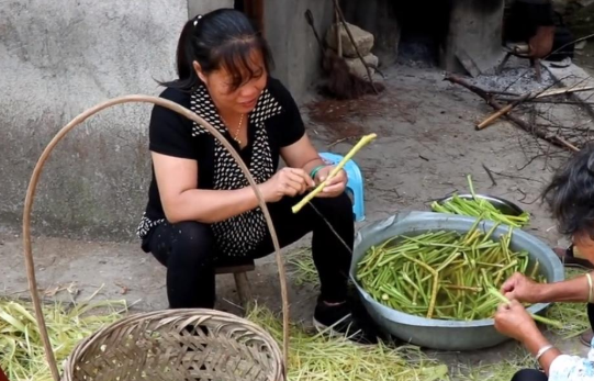 南瓜苗不少人吃過,那老的南瓜藤呢?在湖南是特色下飯菜 南瓜苗不少人吃過,那老的南瓜藤呢?在湖南是特色下飯菜