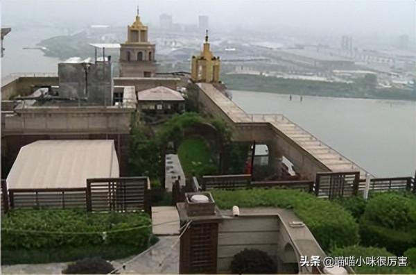 張庭夫婦3年半營收近100億，傳銷背後，他們的生活有多奢侈