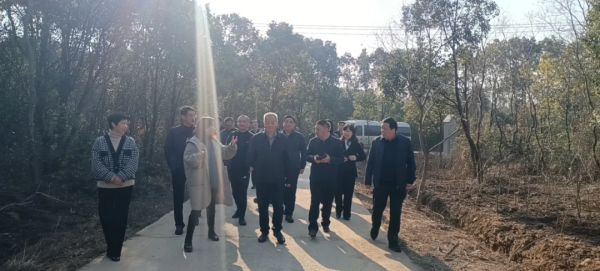 省財政廳調研蔡甸索河美麗鄉村建設專案