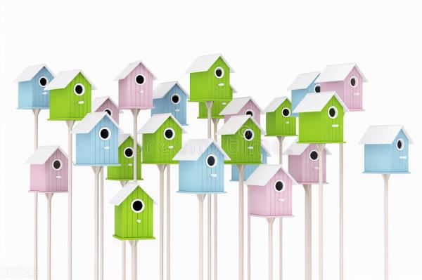 珍惜細微的一切,更用力去熱愛陽光吧 珍惜細微的一切,更用力去熱愛陽光吧