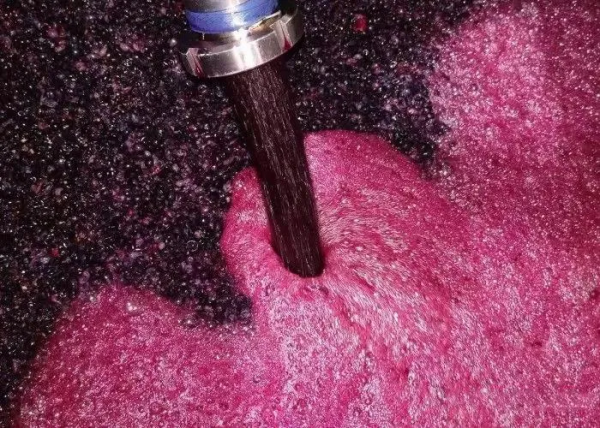 別卡速：豹子號333