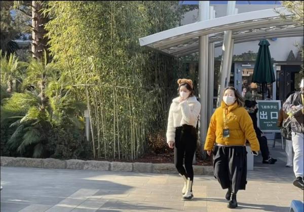 路人鏡頭下的毛曉彤，“上短下長”身材比例超絕，就是臉有點腫