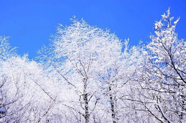 「冬日徒步」 登頂杏梅尖,看玉樹冰掛,攬霧凇勝景,探龍門古鎮 「冬日徒步」 登頂杏梅尖,看玉樹冰掛,攬霧凇勝景,探龍門古鎮