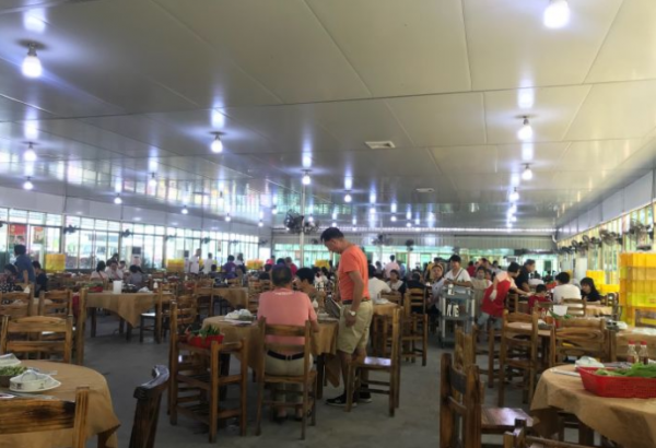 廣東火遍當地的牛肉店,上萬人同時就餐,1700桌客人搶著吃 廣東火遍當地的牛肉店,上萬人同時就餐,1700桌客人搶著吃