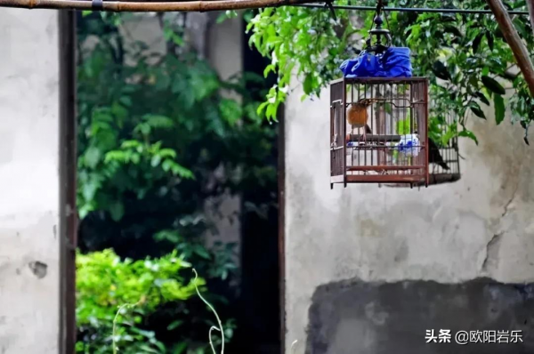 最適合帶Ta去私奔的18個地方，人少景美，有空了就出發，可好？