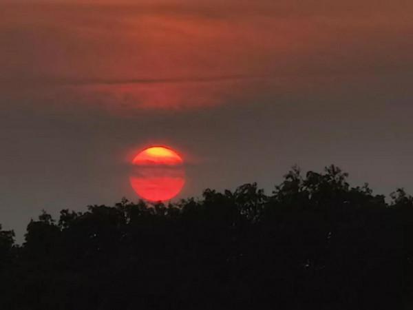 現代詩《此愛無計可消除》 現代詩《此愛無計可消除》