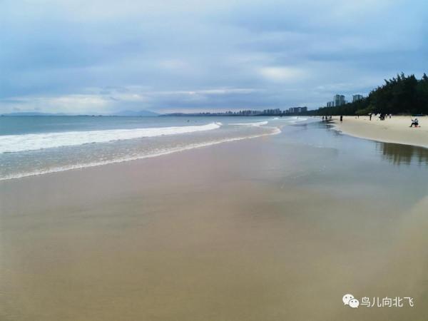 行走海南(5)在海南,看到了什麼 之 蔚藍海洋的賜予 行走海南(5)在海南,看到了什麼 之 蔚藍海洋的賜予