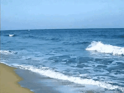 換心人(之22) 換心人(之22)