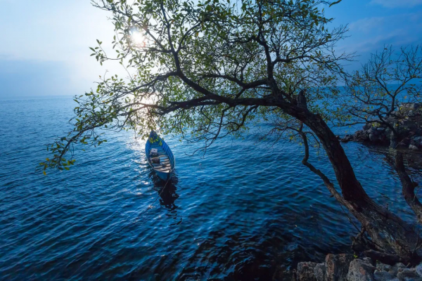 雲南恢復跨省遊！2021年最後兩週，我們該去雲南看看另一種冬天