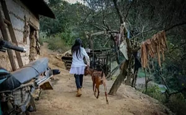 雲南深山一家六口，沒鄰居沒訊號、沒戶口，如今得到社會各界幫助