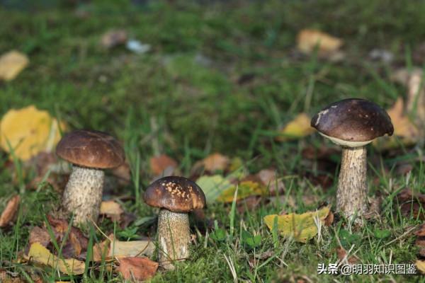 雲南的30個冷知識,你確定都知道嗎? 雲南的30個冷知識,你確定都知道嗎?