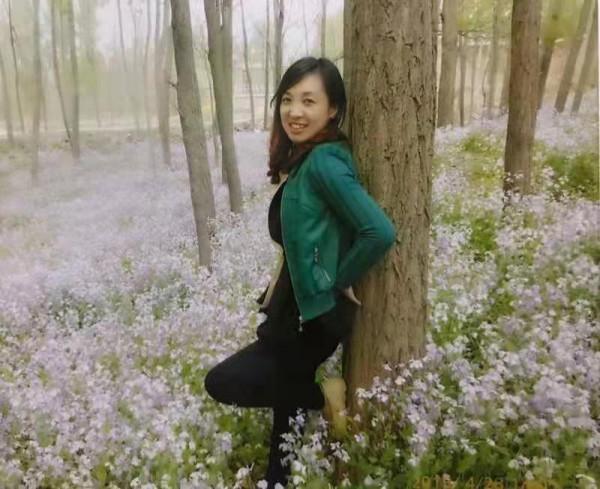 河北雄安書畫家李豔香作品賞析