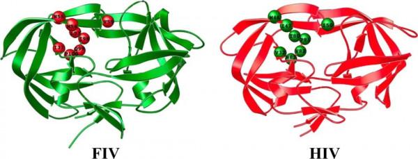 貓和老鼠手拉手，一起面對實驗室裡的科研狗