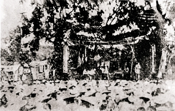 善謀打仗的政治幹部丨戰爭沒有軍政之分！這些政治幹部出身將領戰功赫赫