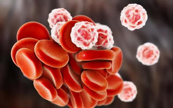 天冷後,除了少吃點肉以外,還要注意多吃這4種補血食物,強身體 天冷後,除了少吃點肉以外,還要注意多吃這4種補血食物,強身體