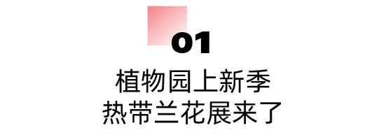 在東湖過元旦，好多新板眼！