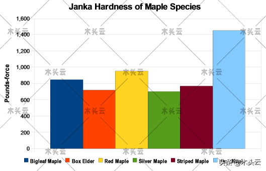 滿滿乾貨！教你如何區分實木傢俱中的硬楓和軟楓（建議收藏）