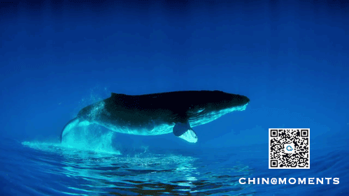 東莞,離萬億城市還有31天 東莞,離萬億城市還有31天