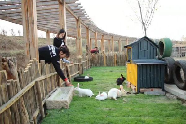“博哥微旅行”第五站 | 密雲區 金叵羅農場 “博哥微旅行”第五站 | 密雲區 金叵羅農場