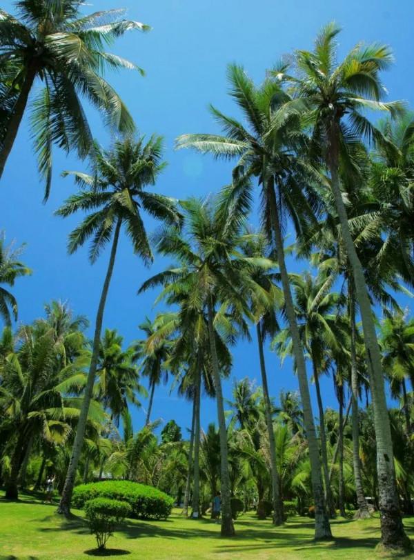 國內最值得去的40個地方，個個美如畫，少去一個都可惜