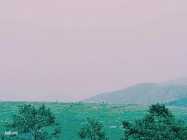 32歲,終究活成了最討厭的那種人,也明白了,冷暖自知,悲喜自渡 32歲,終究活成了最討厭的那種人,也明白了,冷暖自知,悲喜自渡