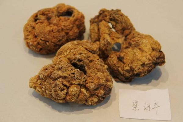 吃胎盤能大補？醫院裡的胎盤都到哪去了？不妨一起來了解一下