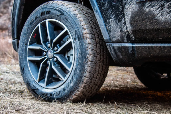 要得到Trail Rated徽章，攏共分幾步？