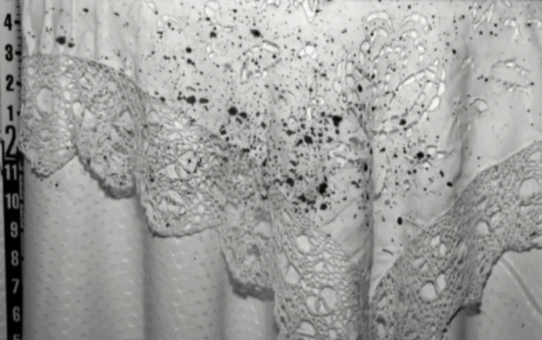 人間惡魔！富二代漫畫家虐殺妻子，手法參考其作品中的情節